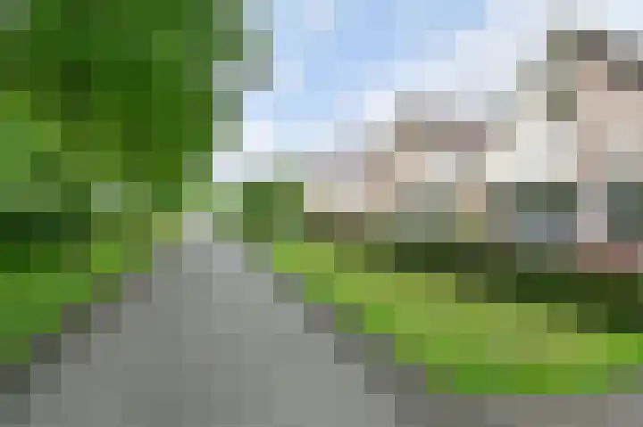 Taxuslaan 25 Exloo thumbnail 13