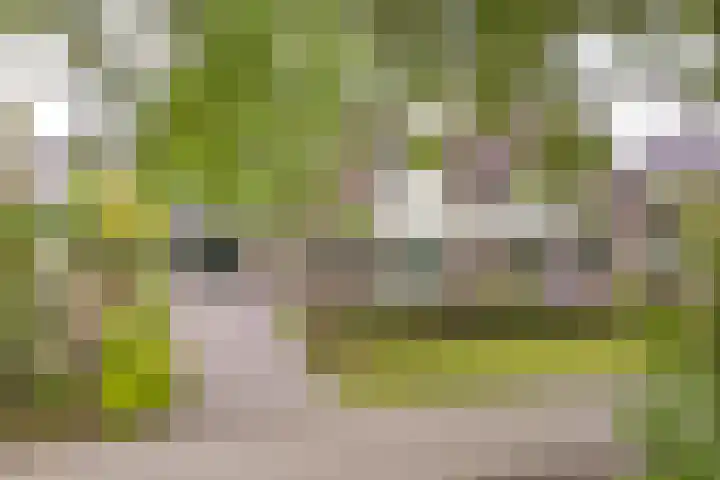 Taxuslaan 25 Exloo thumbnail 15