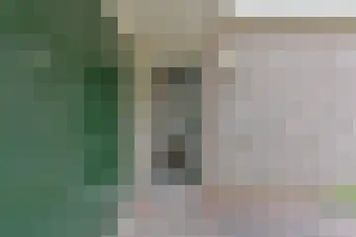 Taxuslaan 25 Exloo thumbnail 16