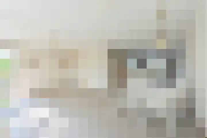 Taxuslaan 25 Exloo thumbnail 26