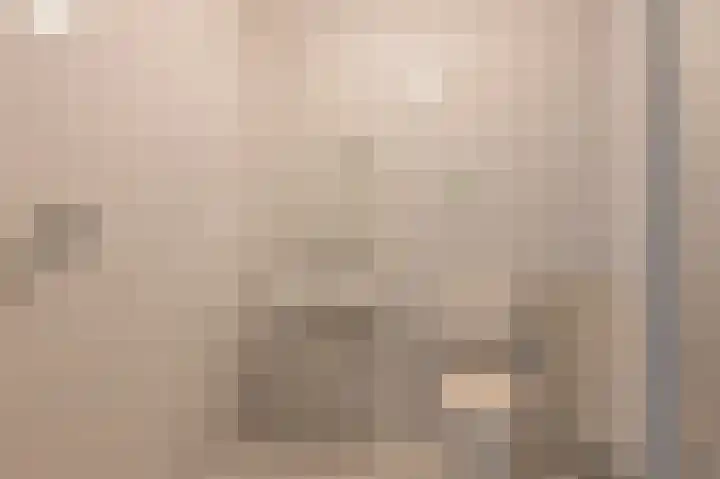 Taxuslaan 25 Exloo thumbnail 40