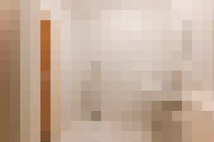 Taxuslaan 25 Exloo thumbnail 42
