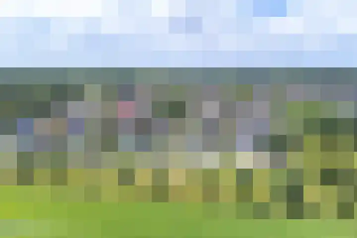 Taxuslaan 25 Exloo thumbnail 5