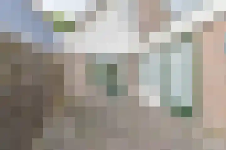 Taxuslaan 25 Exloo thumbnail 54