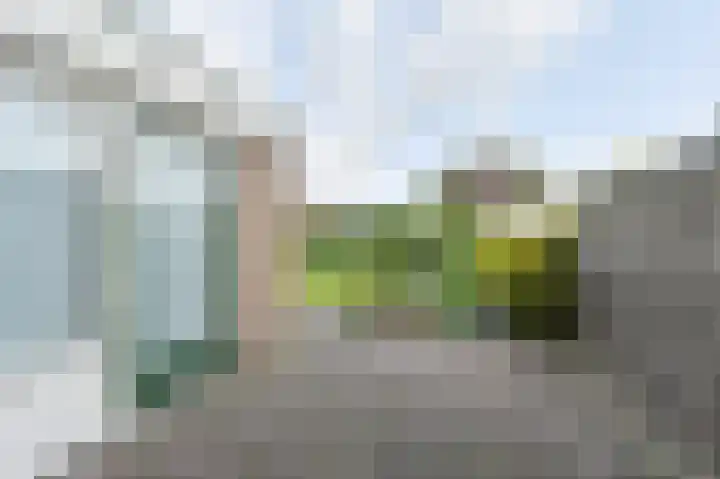 Taxuslaan 25 Exloo thumbnail 55