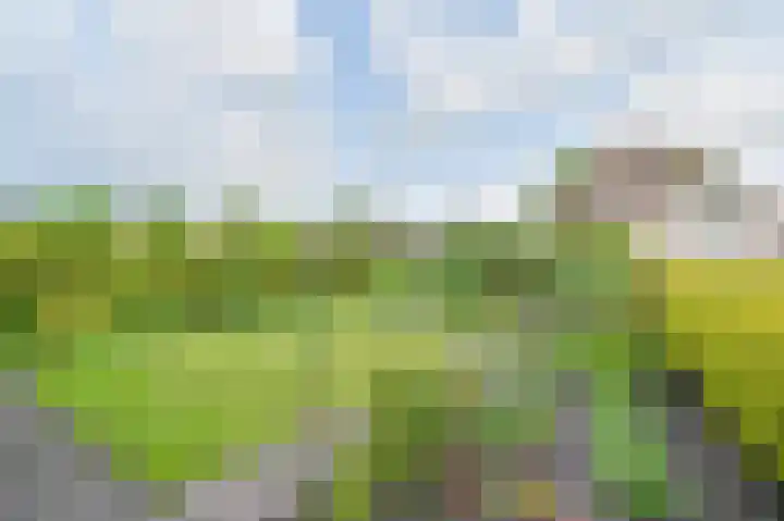 Taxuslaan 25 Exloo thumbnail 56