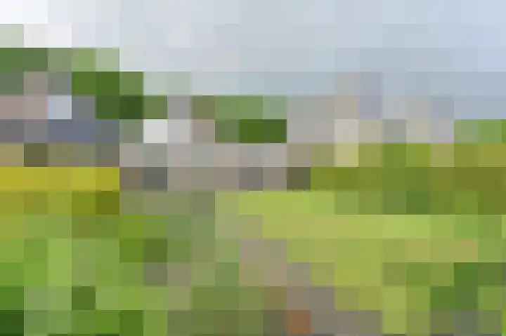 Taxuslaan 25 Exloo thumbnail 57