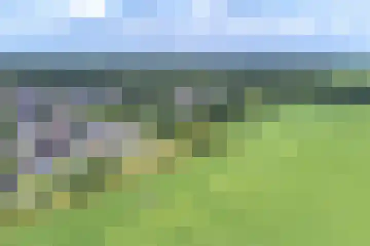 Taxuslaan 25 Exloo thumbnail 6