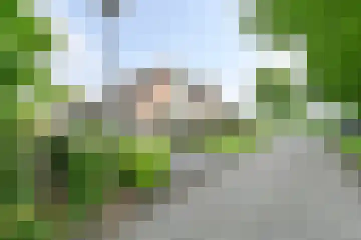 Taxuslaan 25 Exloo thumbnail 7