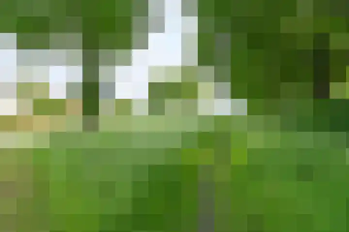 Taxuslaan 25 Exloo thumbnail 8