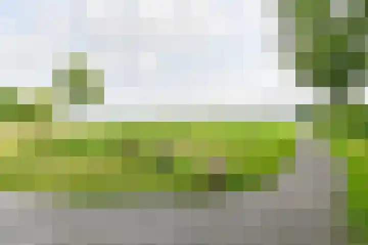 Taxuslaan 25 Exloo thumbnail 9