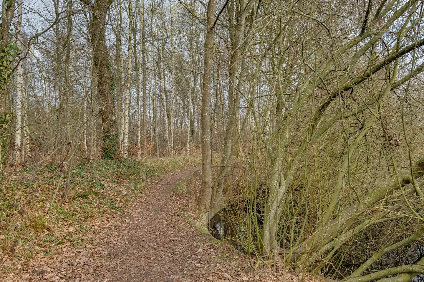 Taxuslaan 28 Dieren thumbnail 34