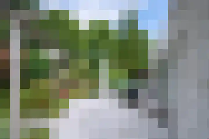 Taxuslaan 39 Dieren thumbnail 16
