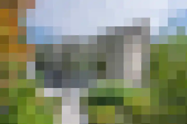 Taxuslaan 39 Dieren thumbnail 17