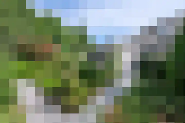 Taxuslaan 39 Dieren thumbnail 18
