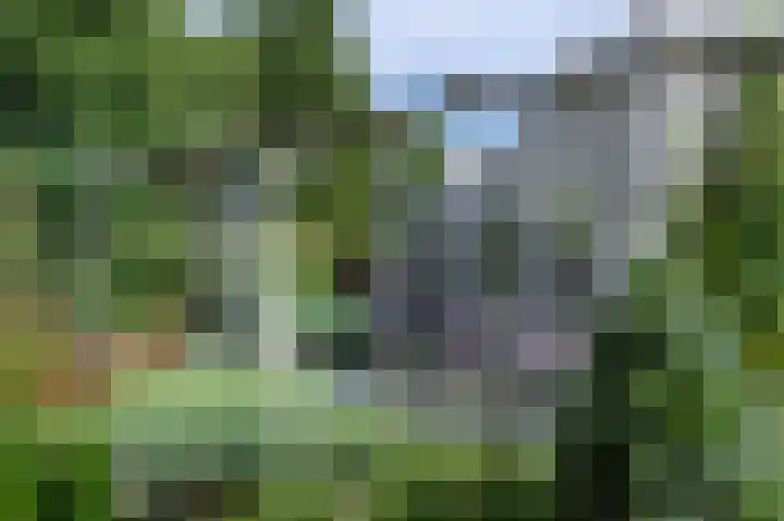 Taxuslaan 39 Dieren thumbnail 19