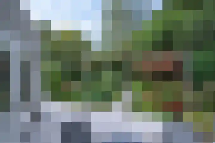 Taxuslaan 39 Dieren thumbnail 20