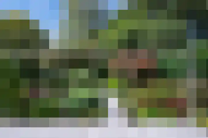 Taxuslaan 39 Dieren thumbnail 21