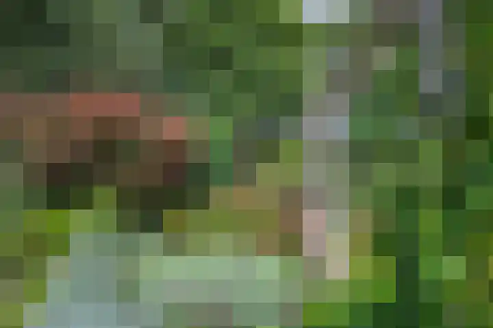 Taxuslaan 39 Dieren thumbnail 22