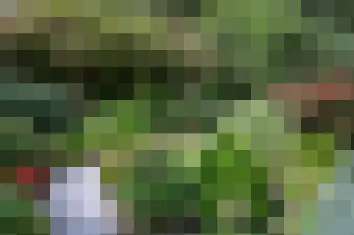 Taxuslaan 39 Dieren thumbnail 23