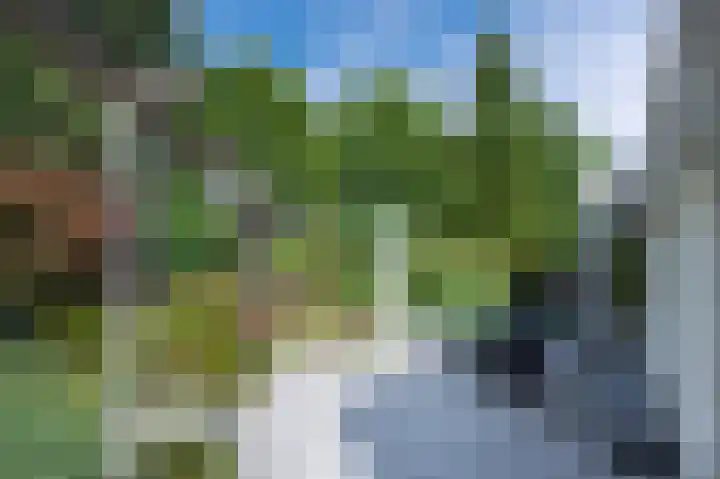 Taxuslaan 39 Dieren thumbnail 24