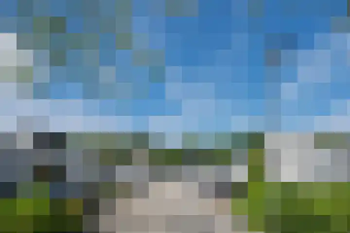 Taxuslaan 39 Dieren thumbnail 28