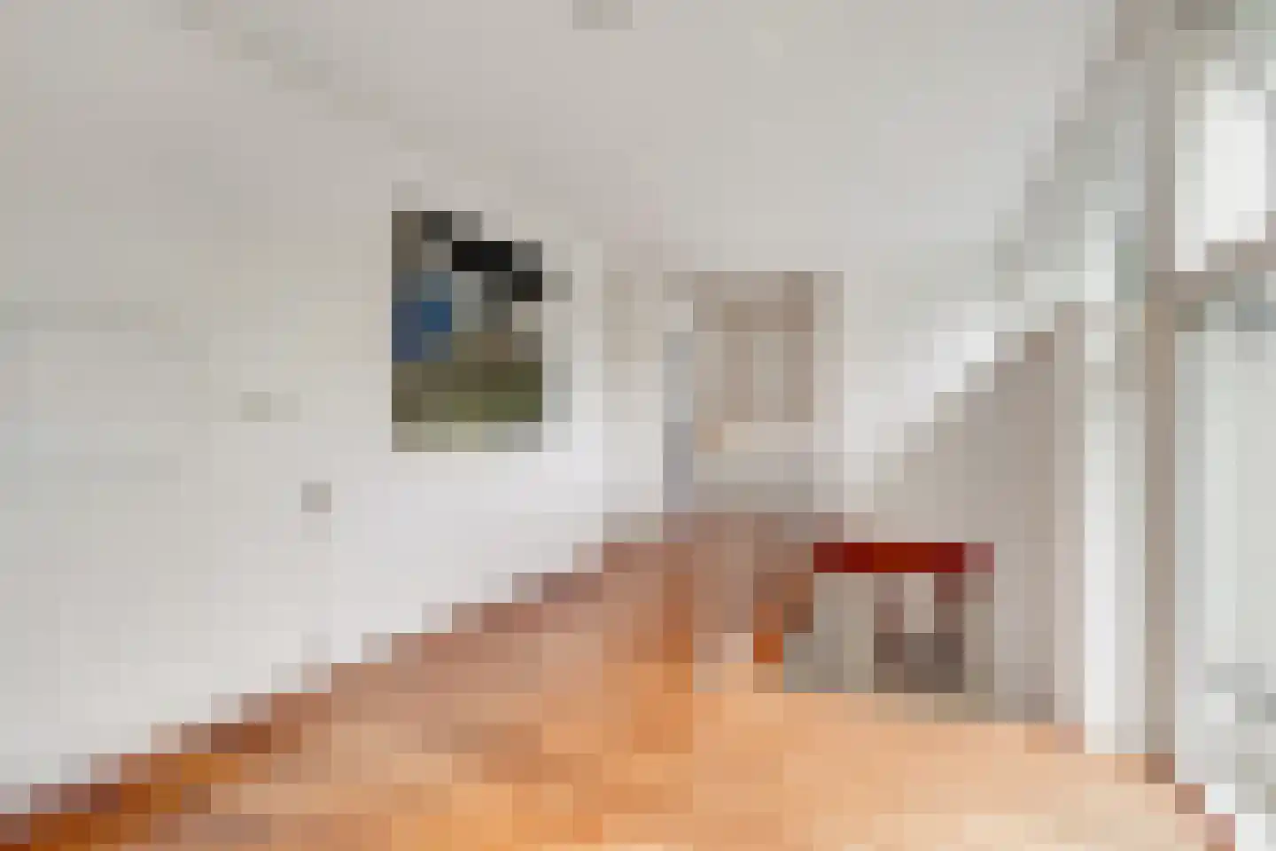 Taxuslaan 8 Bosch en Duin thumbnail 21