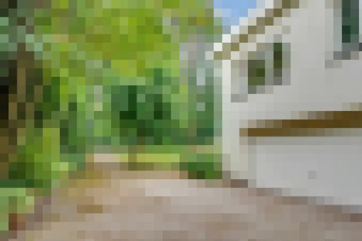 Taxuslaan 8 Bosch en Duin thumbnail 39