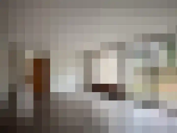 Taxusplantsoen 10 Assen thumbnail 13