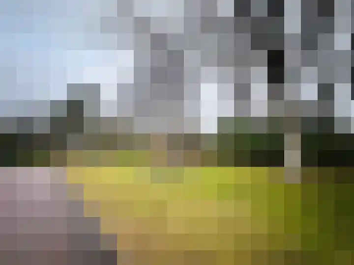 Taxusplantsoen 10 Assen thumbnail 32