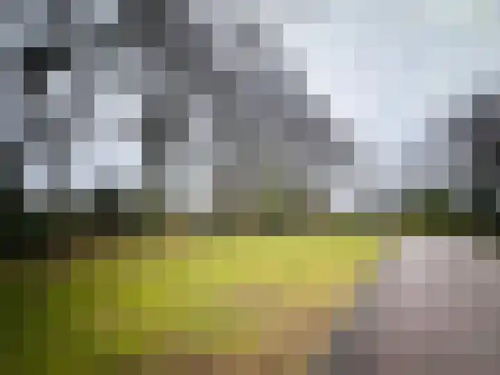 Taxusplantsoen 10 Assen thumbnail 4