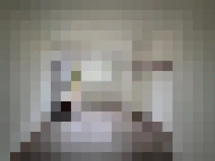 Taxusplantsoen 10 Assen thumbnail 9