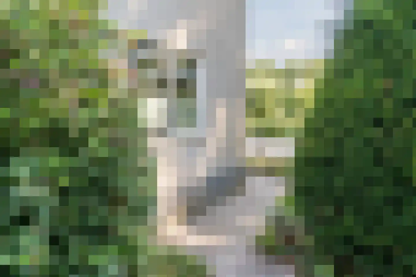 Taxusstraat 1 Zaandam thumbnail 41