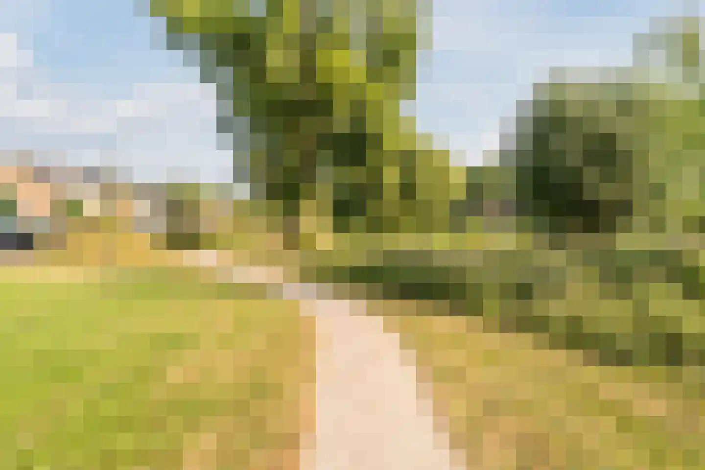 Taxusstraat 1 Zaandam thumbnail 44