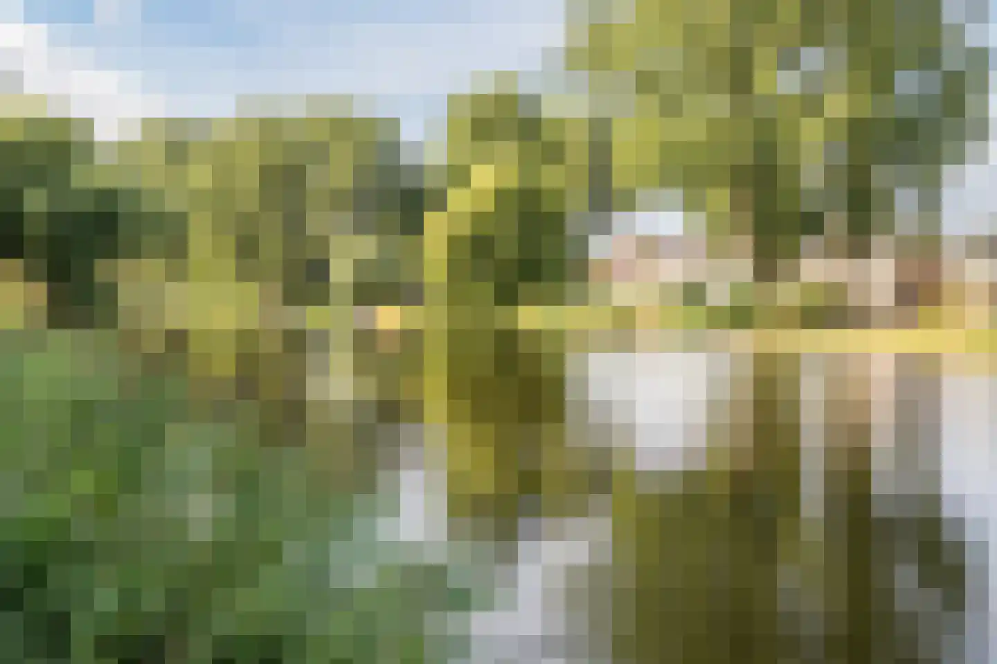 Taxusstraat 1 Zaandam thumbnail 46