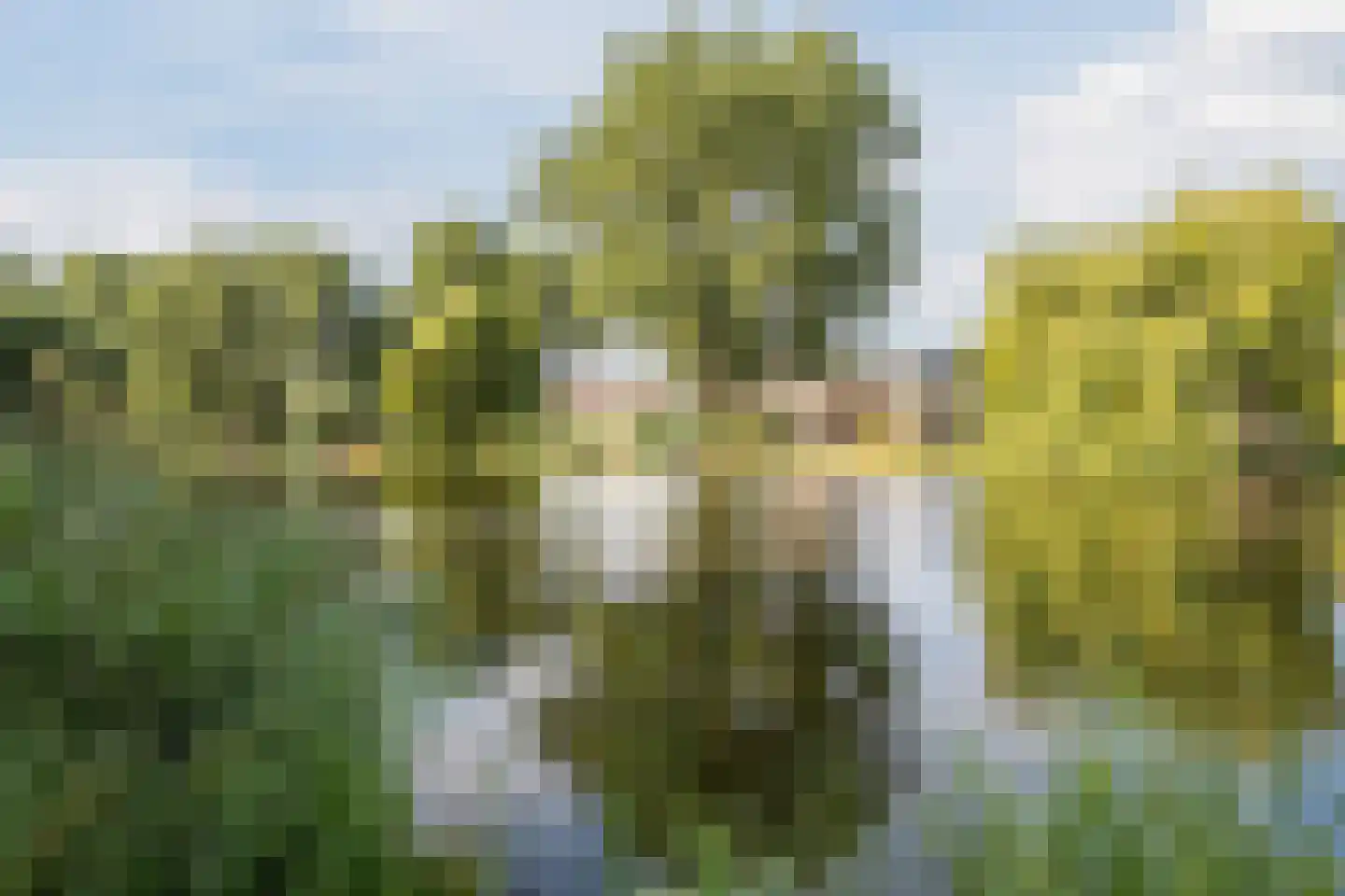 Taxusstraat 1 Zaandam thumbnail 47