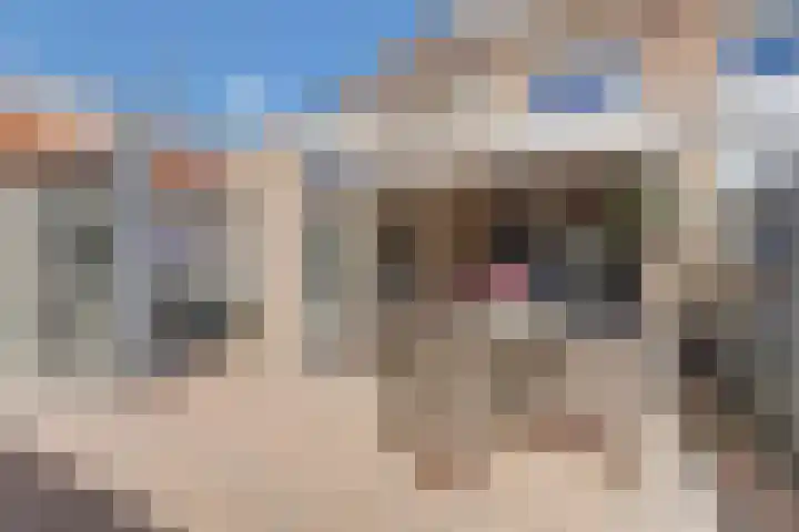 te Brittenstraat 3 Katwijk thumbnail 50