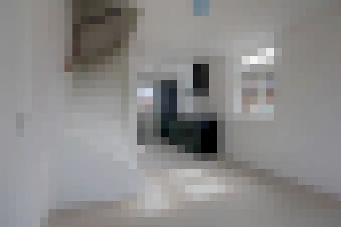 te Brittenstraat 38 C Katwijk thumbnail 15