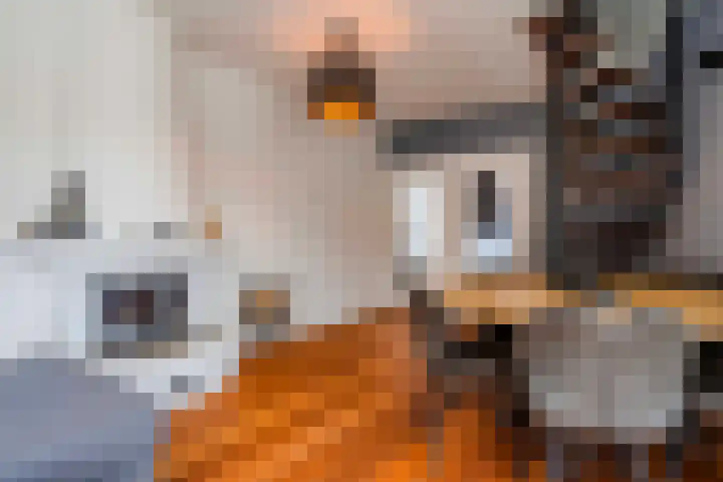 te Brittenstraat 45 Katwijk thumbnail 18
