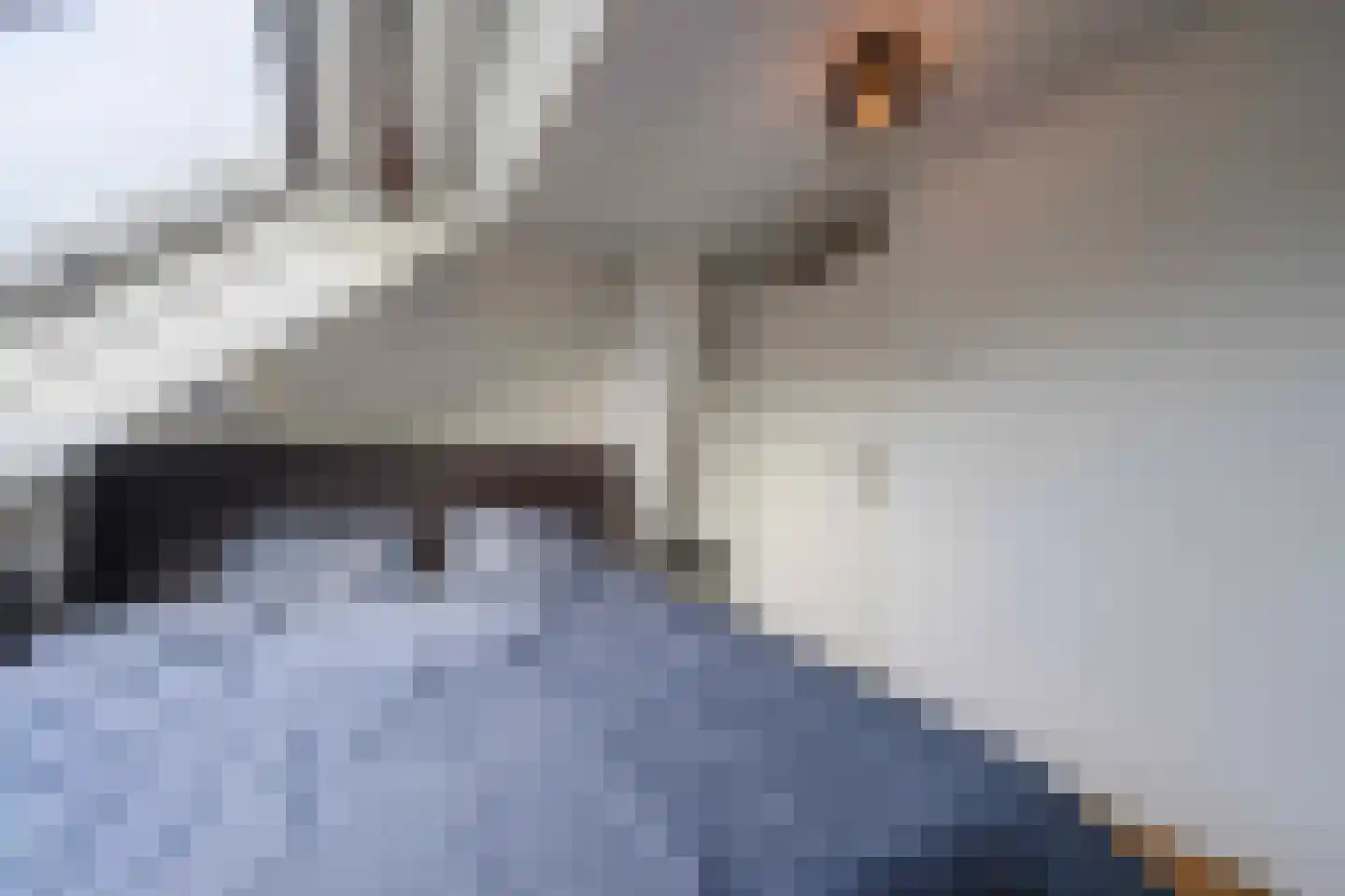 te Brittenstraat 45 Katwijk thumbnail 41