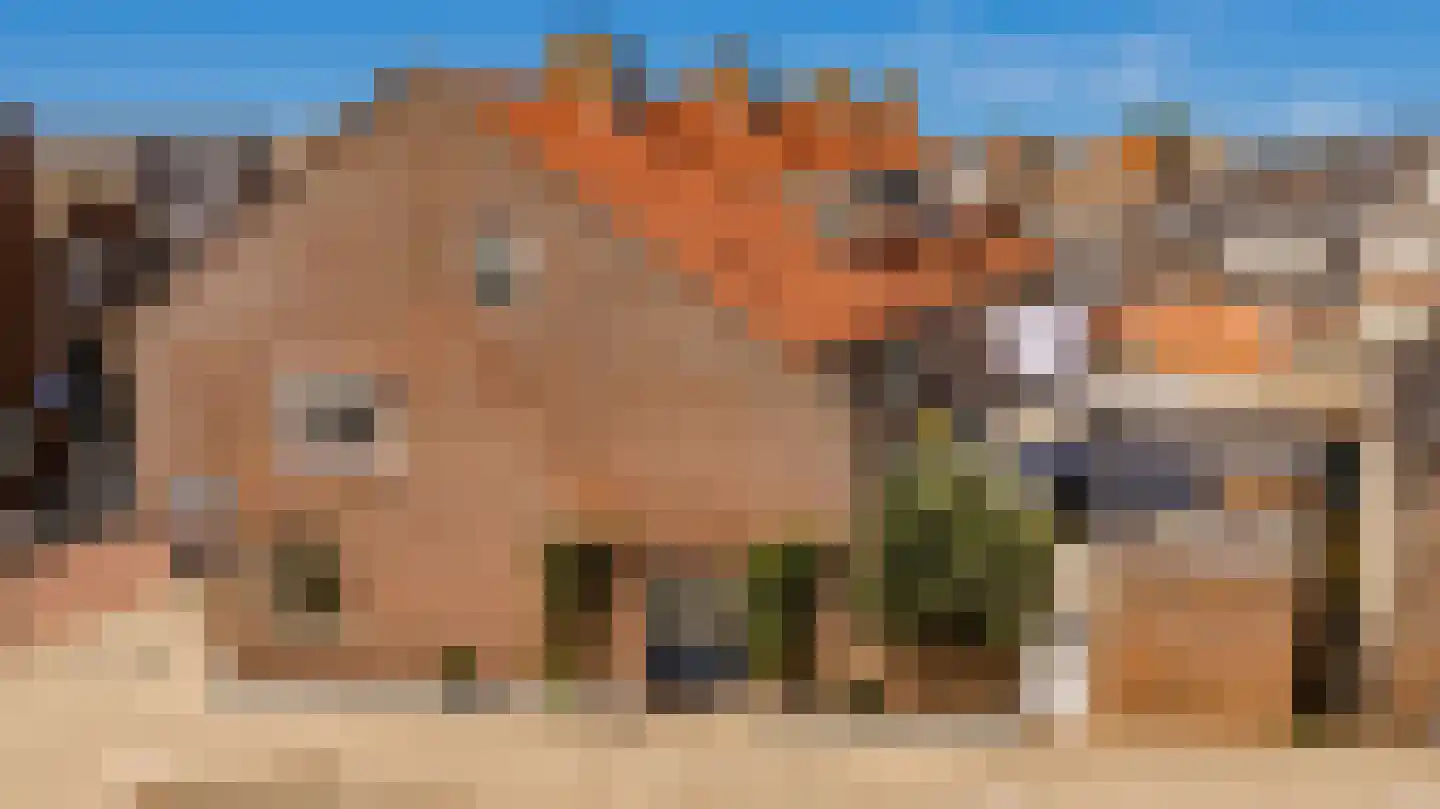 te Brittenstraat 45 Katwijk thumbnail 43