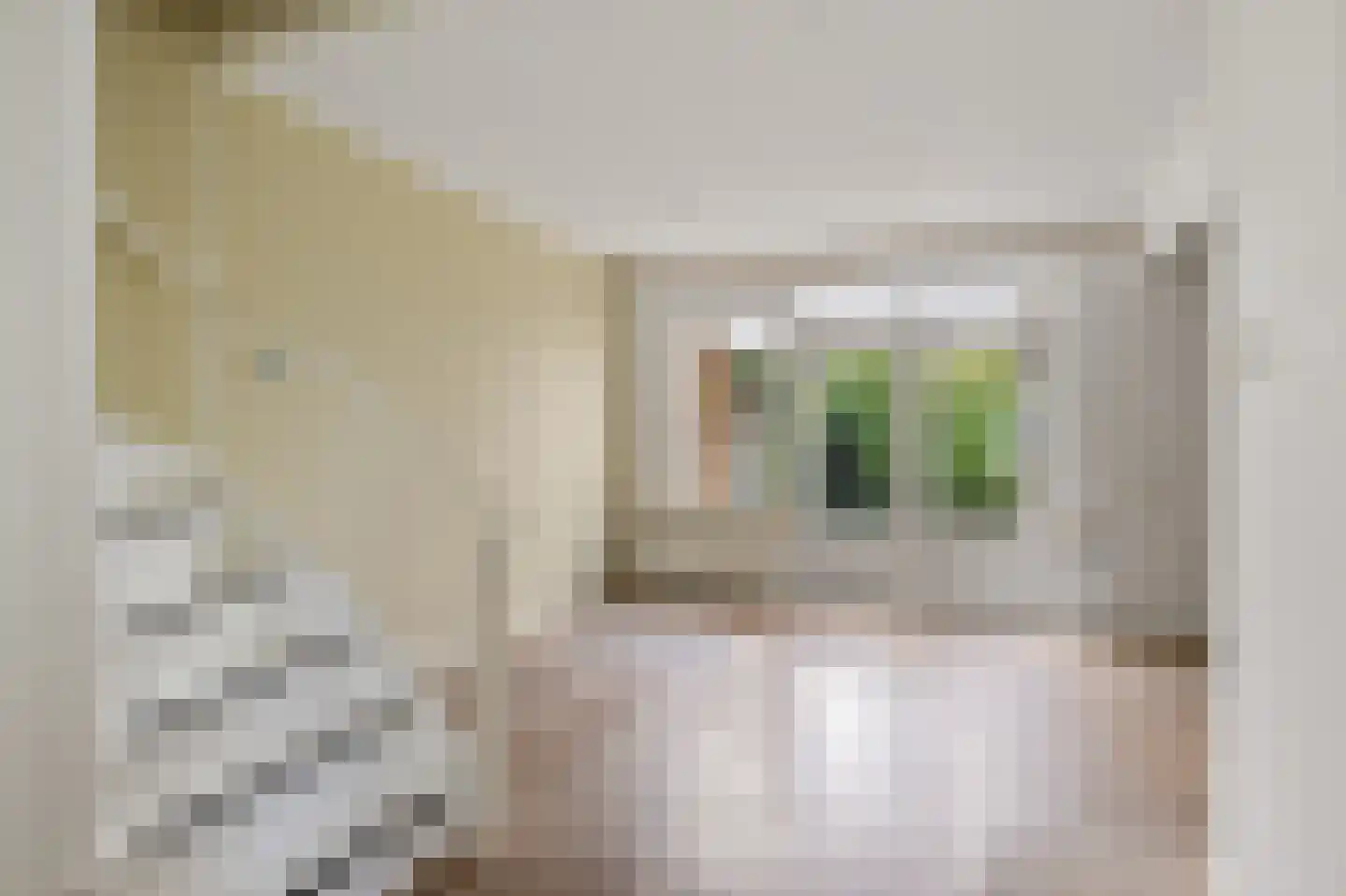 Te Nijenhuiswei 16 Wijnjewoude thumbnail 11