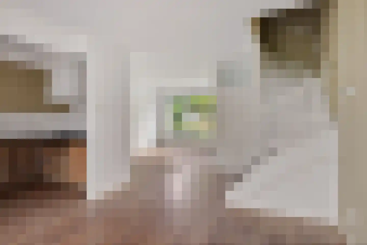 Te Nijenhuiswei 16 Wijnjewoude thumbnail 13