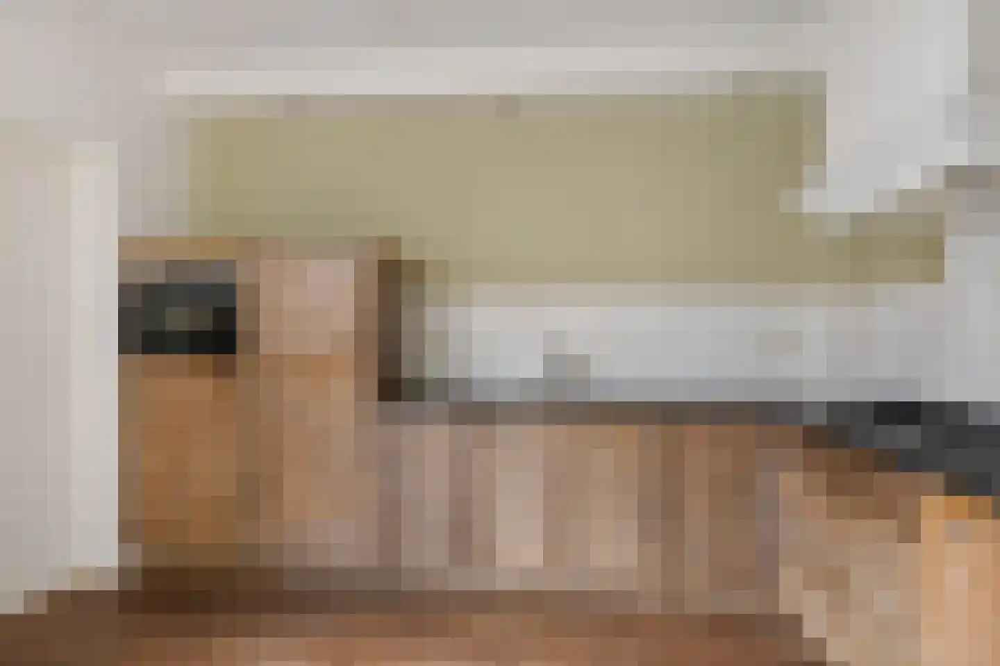 Te Nijenhuiswei 16 Wijnjewoude thumbnail 15