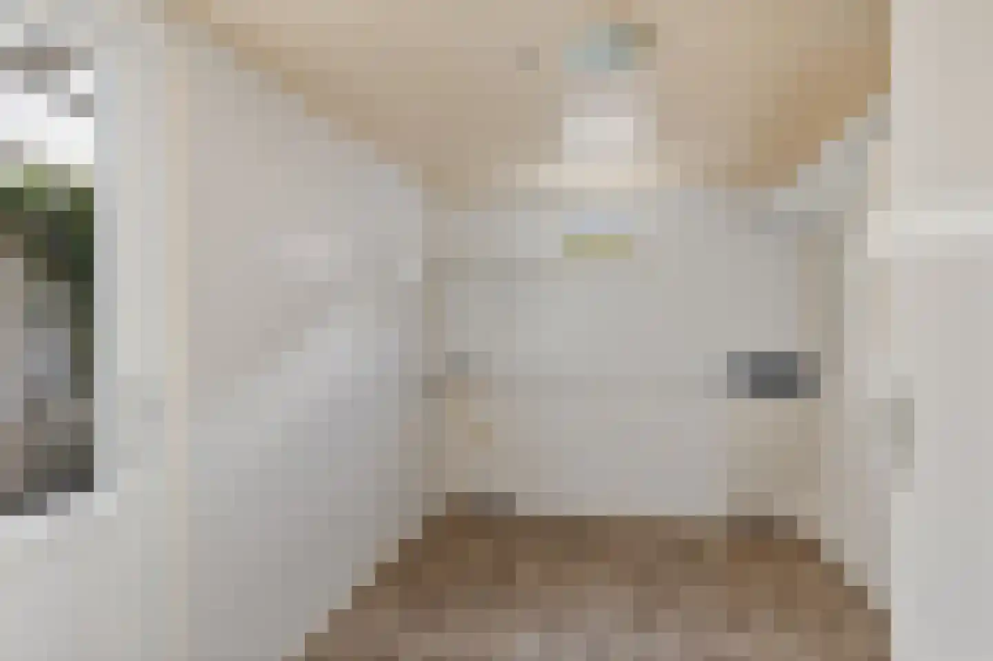 Te Nijenhuiswei 16 Wijnjewoude thumbnail 16