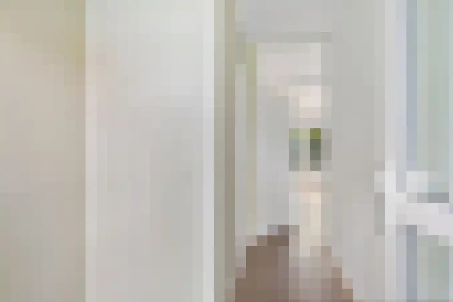 Te Nijenhuiswei 16 Wijnjewoude thumbnail 20