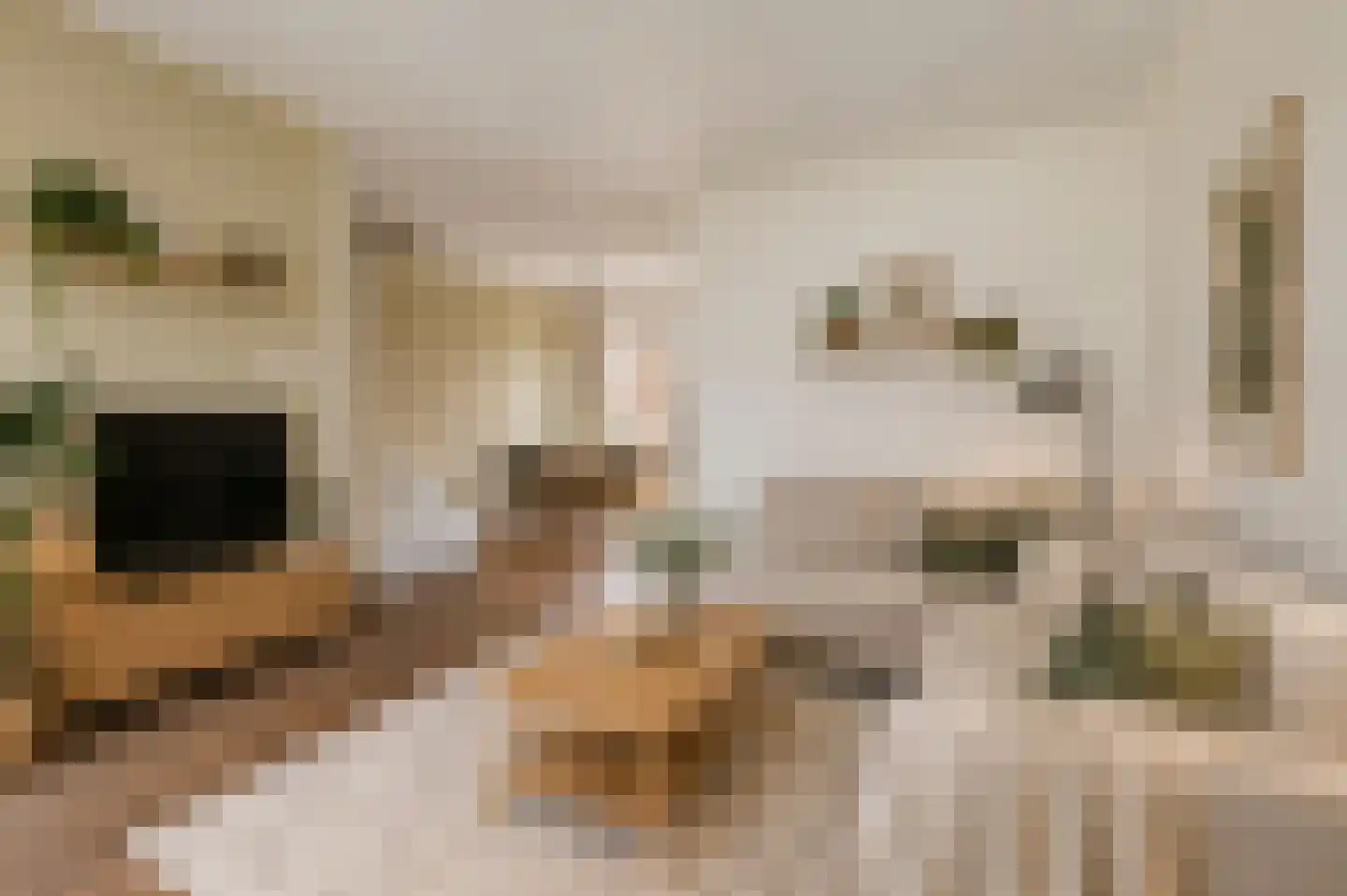 Te Nijenhuiswei 16 Wijnjewoude thumbnail 4