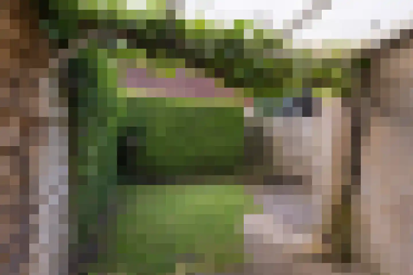 Te Nijenhuiswei 16 Wijnjewoude thumbnail 40