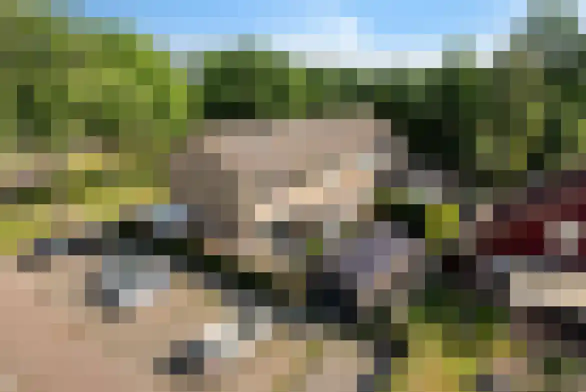 Te Nijenhuiswei 16 Wijnjewoude thumbnail 41