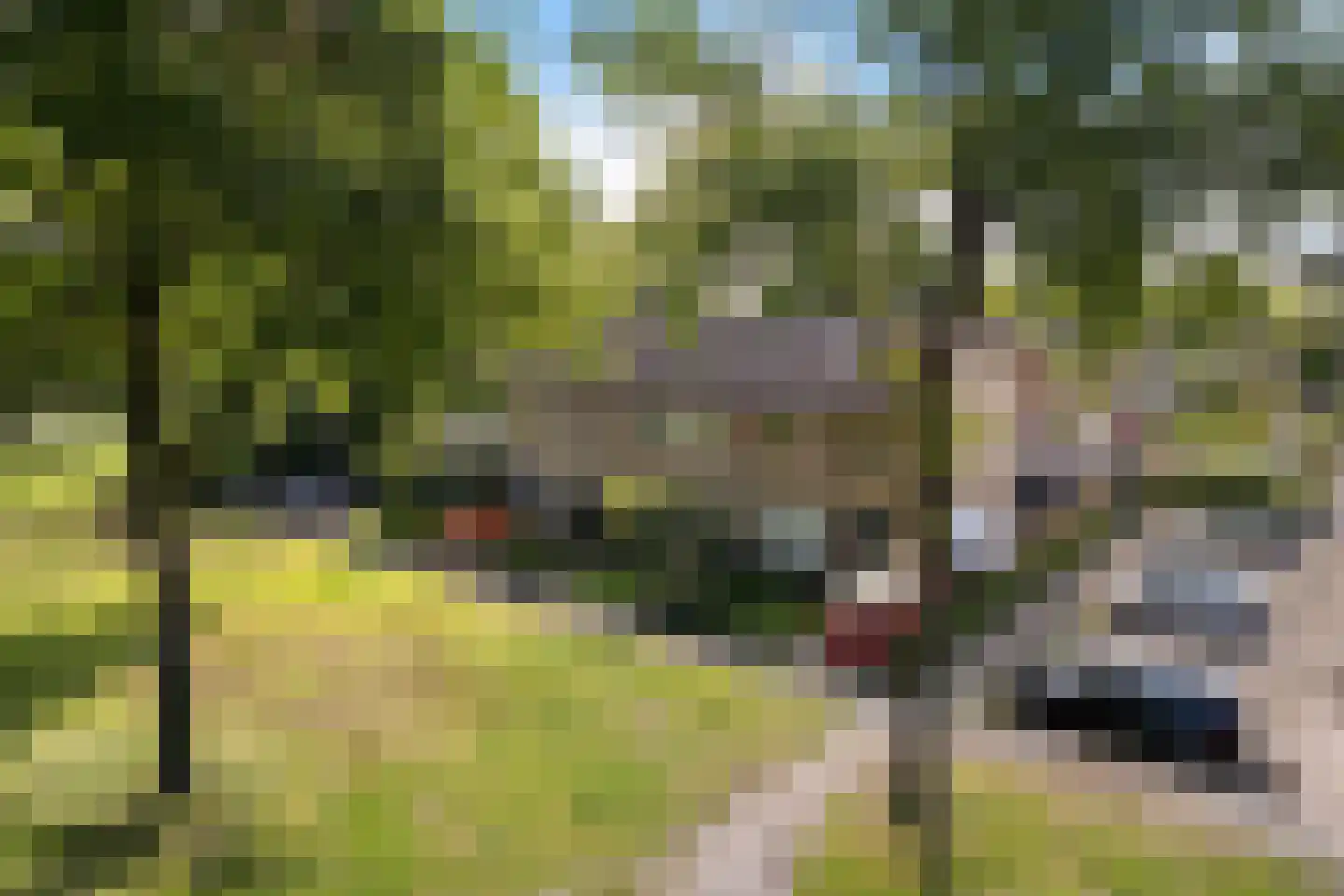 Te Nijenhuiswei 16 Wijnjewoude thumbnail 44